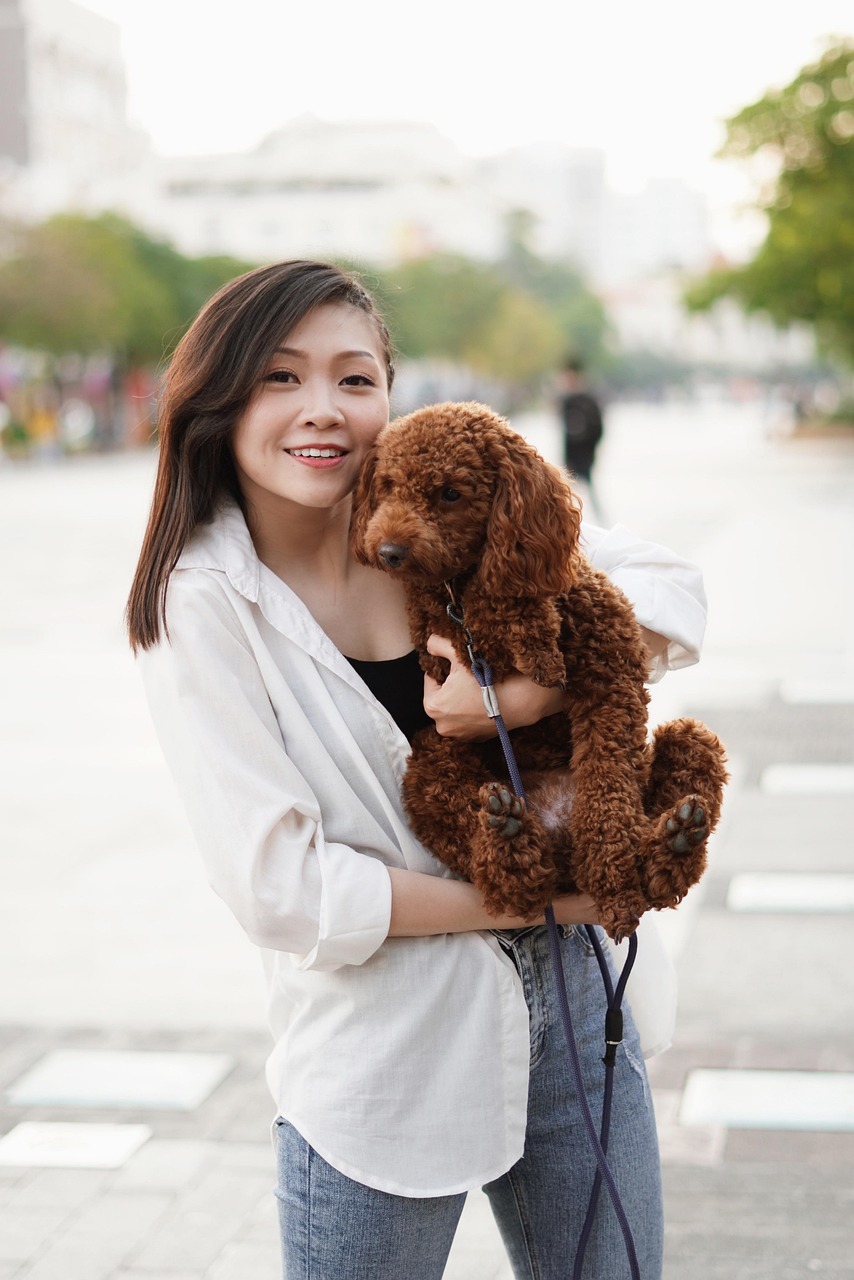 woman, model, portrait, pose, dog, pet, animal, style, fashion, posing, nature, young woman, girl, modeling, female, woman portrait